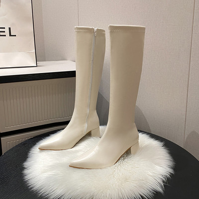 Elegantne ženske čizme na špic s petom od 5 cm