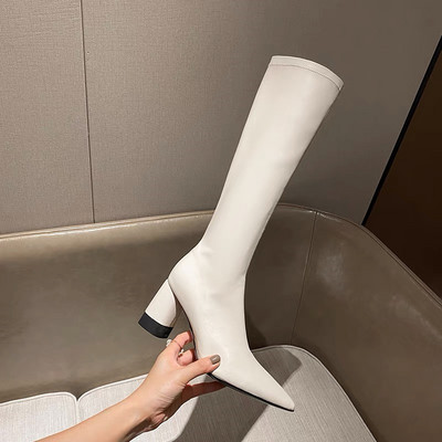 Moderne ženske čizme sa patentnim zatvaračem na špic