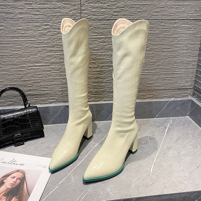 Aktualni ženski lakirani model čizama na špic sa patentnim zatvaračem