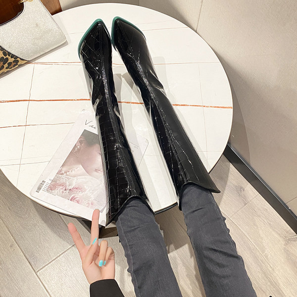 Aktualni ženski lakirani model čizama na špic sa patentnim zatvaračem