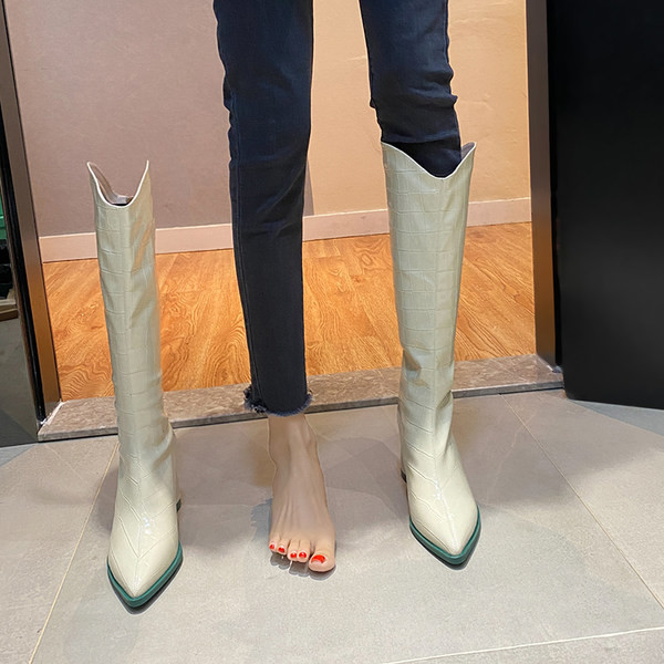 Aktualni ženski lakirani model čizama na špic sa patentnim zatvaračem