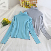 Naiste tavaline polokraega pluus