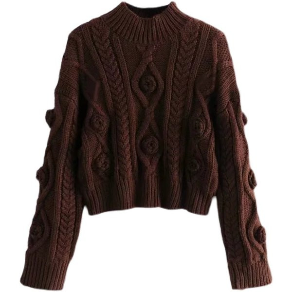 Model nou pulover toamna-iarna de culoare maro