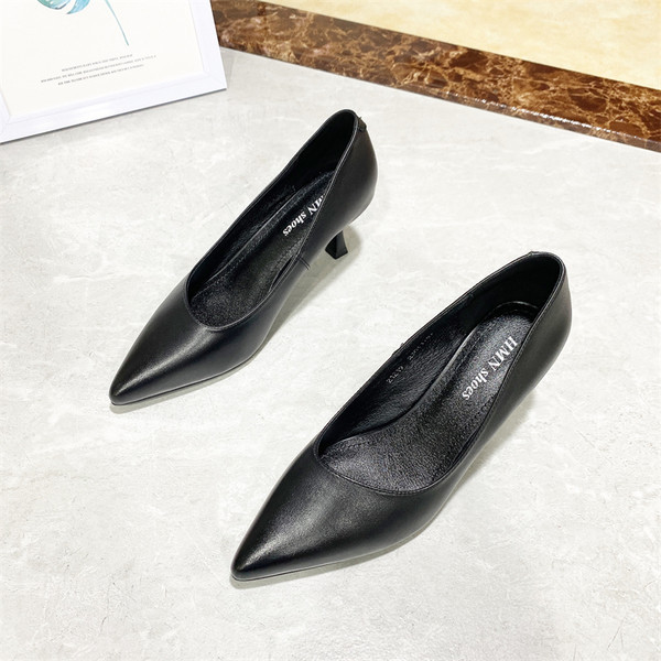 Μοντέρνα παπούτσια με τακούνια - μυτερό μοντέλο