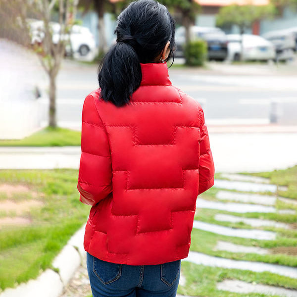 Geaca de iarna dama cu guler inalt si nasturi