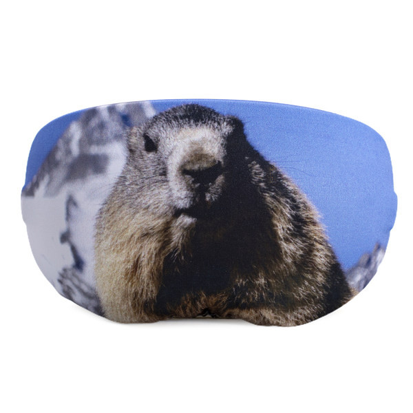 Θήκη κατά των γρατζουνιών για γυαλιά σκι