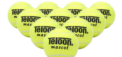 Teniso kamuoliukų komplektas 10 vnt