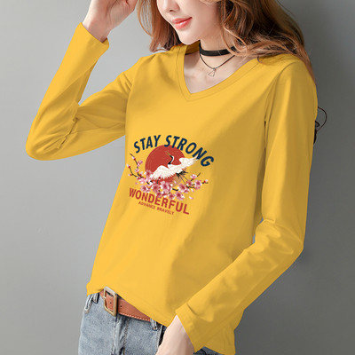 Γυναικεία μπλούζα με μακριά μανίκια V λαιμόκοψη και πολύχρωμη απλικέ