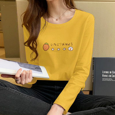 Γυναικεία μπλούζα με μακριά μανίκια, οβάλ λαιμόκοψη και πολύχρωμη απλικέ