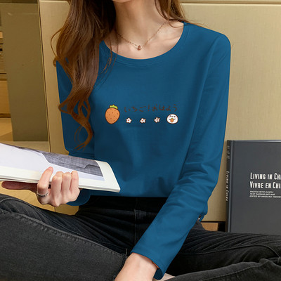 Γυναικεία μπλούζα με μακριά μανίκια, οβάλ λαιμόκοψη και πολύχρωμη απλικέ