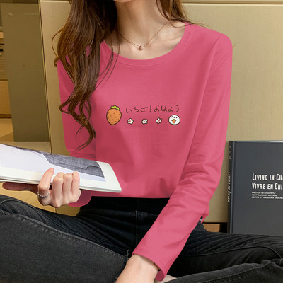 Γυναικεία μπλούζα με μακριά μανίκια, οβάλ λαιμόκοψη και πολύχρωμη απλικέ