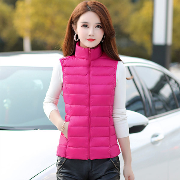 Vestă de primăvară-toamnă cu model montat cu guler înalt