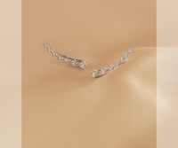 Γυναικεία ντελικάτα σκουλαρίκια με πέτρες σε ασημί χρώμα