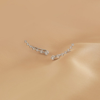 Γυναικεία ντελικάτα σκουλαρίκια με πέτρες σε ασημί χρώμα