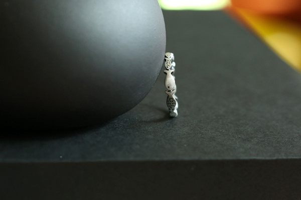 Ασημένιο χρώμα γυναικείο δαχτυλίδι με διακόσμηση ψαριού