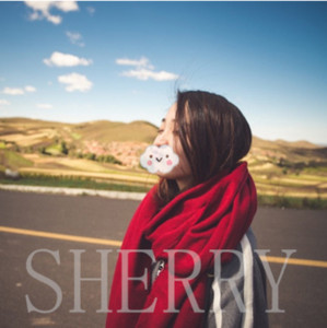 Ежедневен дамски шал-няколко модела