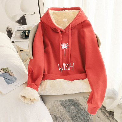 Γυναικείο φούτερ με ζεστή φόδρα - διάφορες εφαρμογές