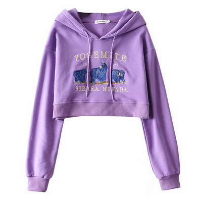 Új modell rövid női pulóver kapucnival és mintával