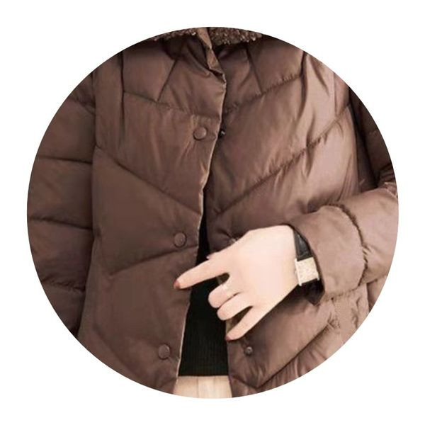 Sieviešu ziemas jaka ar pogām un kabatām - trīs krāsās