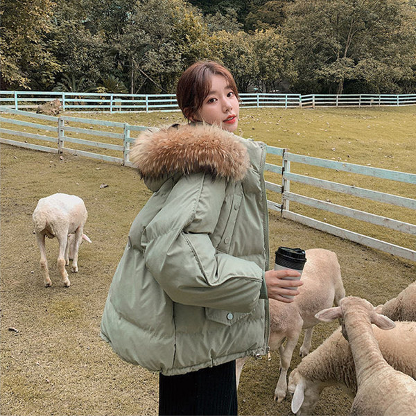 Női bomber kabát kapucnival és cipzárral