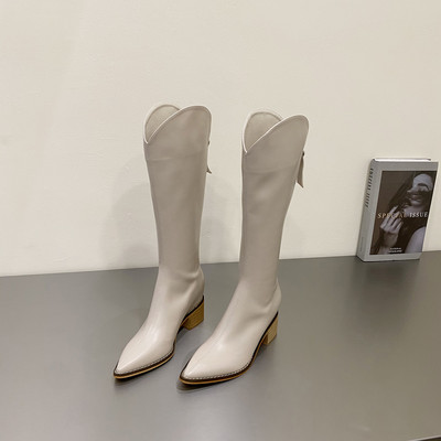 Női csizma hegyes sarkú modell