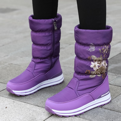 Naiste lillemustriga talvised aprikoosid