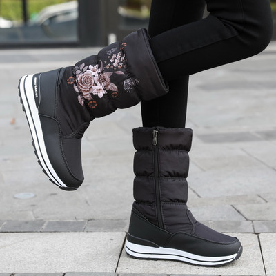 Naiste lillemustriga talvised aprikoosid