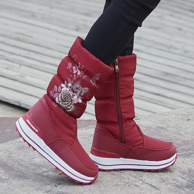 Naiste lillemustriga talvised aprikoosid