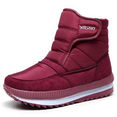 Talvised aprikoosisaapad takjapaelaga