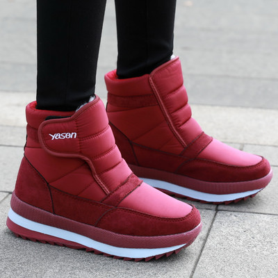 Naiste aprikoosid kirja ja kleebisega