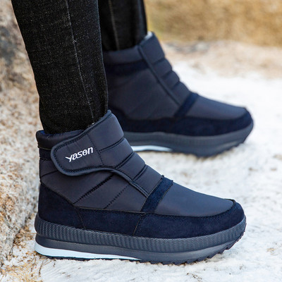 Naiste aprikoosid kirja ja kleebisega