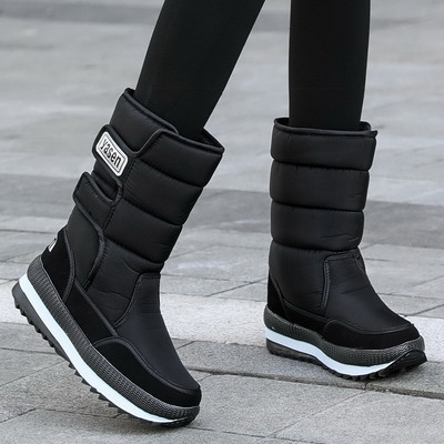 Naiste aprikoosid kirja ja kleebisega