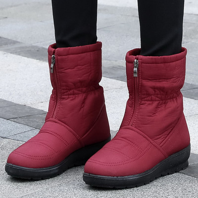 Naiste aprikoosid kirja ja kleebisega